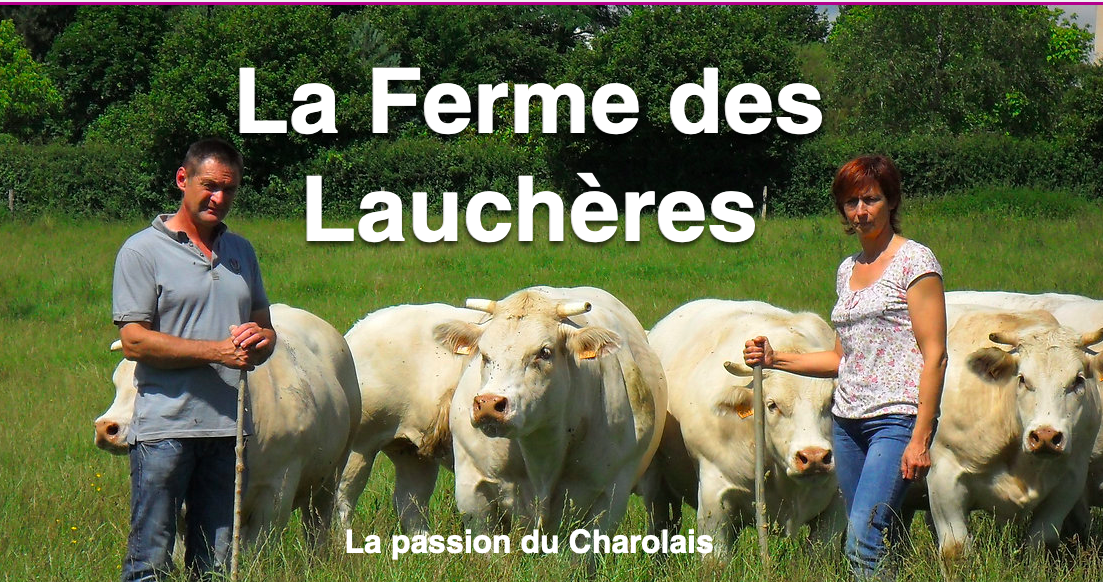 ferme laucheres dracy